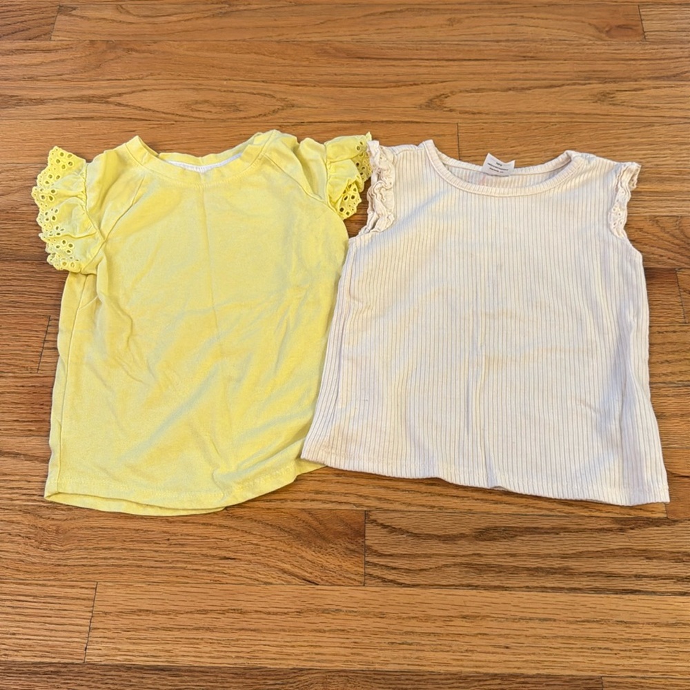 5/$25 2T T Shirt Lot